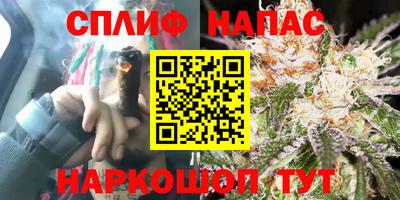 дживик Нягань